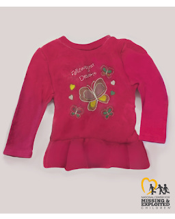 Child’s pink dress with butterflies and Follow Your Dreams embroidered on the front. Child’s pink dress with butterflies and Follow Your Dreams embroidered on the front.