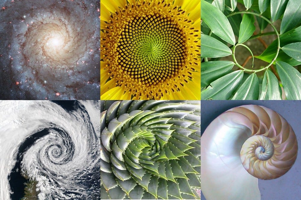 Golden Ratio : What It Is And Why Should You Use It In Design | by Pratik  Hegde | Prototypr