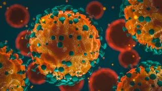 Image result for coronavirus