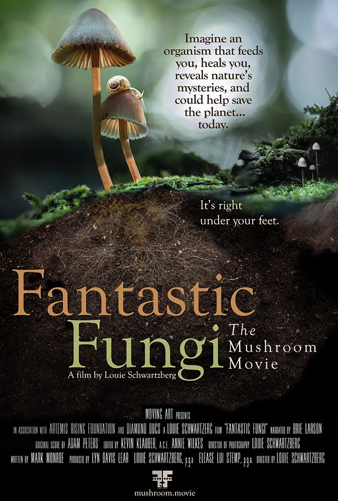 Fantastic Fungi (2019) - IMDb