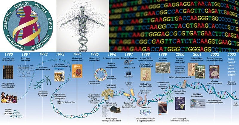 The Human Genome Project | Bioinformatics | Microbe Notes