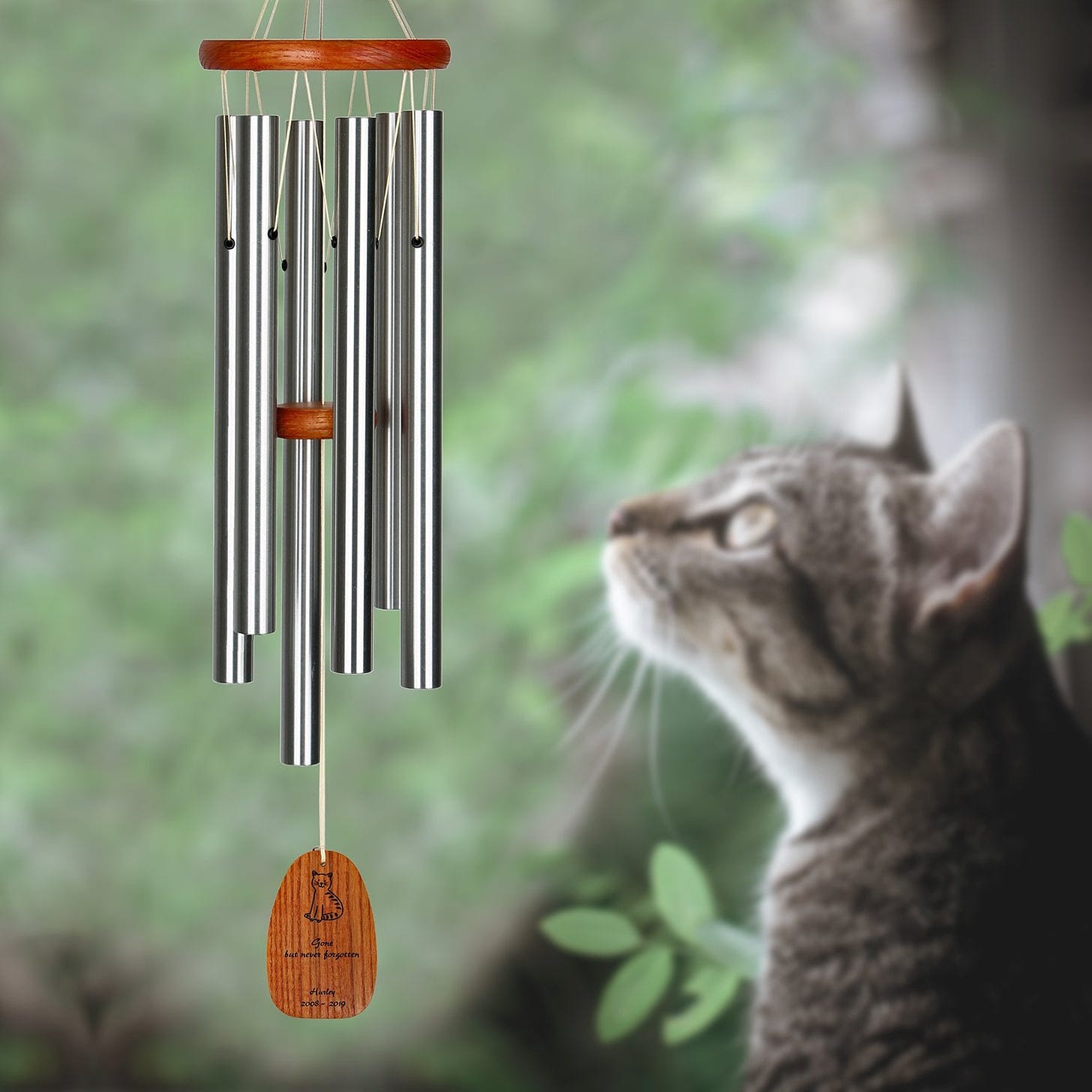 Personalize It! Pet Sympathy - Cat Amazing Grace Chime - Medium, Silver,  Never Forgotten by Woodstock Chimes