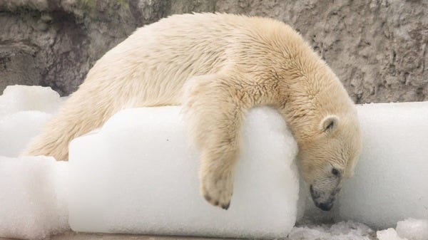 It’s hot out there. Please stay cool! (Thanks, loyal reader Abby B.)