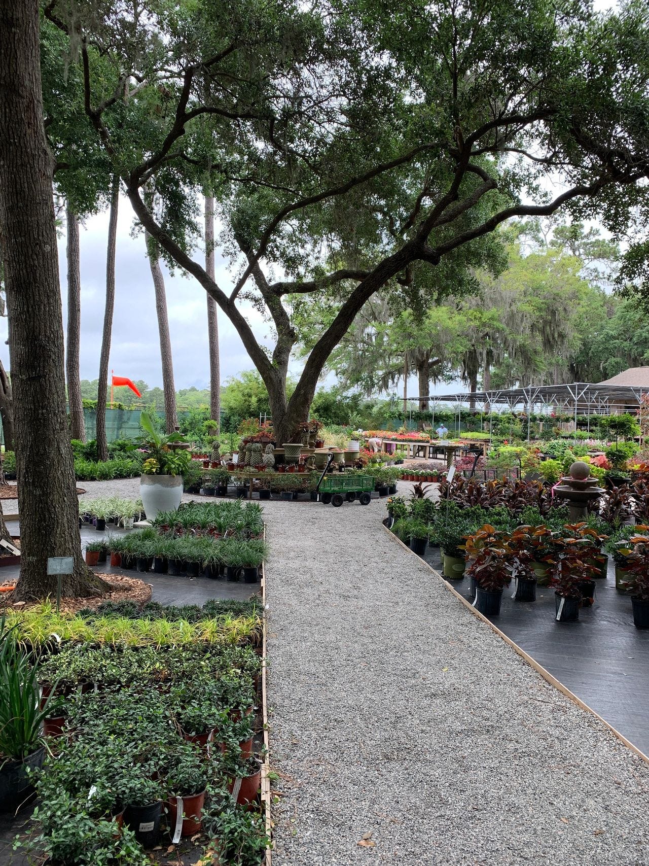 The Green Thumb in Hilton Head Island, SC is not just a beautiful gardening center but also a place to watch/hear planes take off from Hilton Head airport.