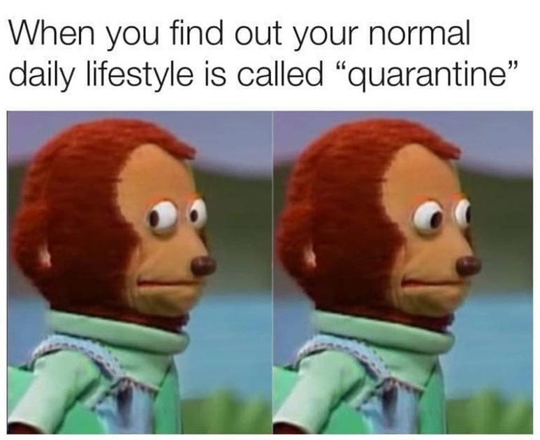 Life in quarantine