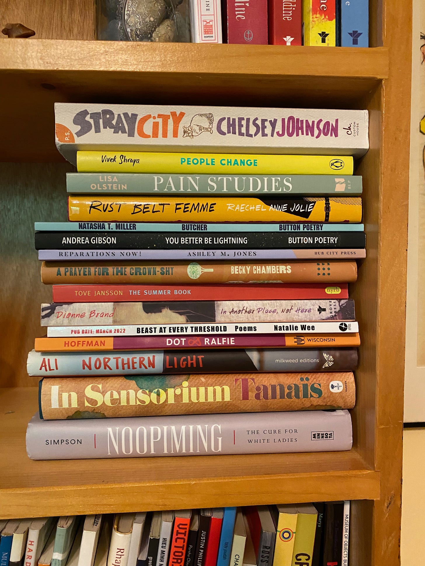 A large stack of books on a bookshelf. They include: Stray City, People Change, Pain Studies, Rust Belt Femme, Butcher, You Better Be Lightning, Reparations Now!, A Prayer for the Crown-Shy, The Summer Book, In Another Place, Not Here, Beast at Every Threshold, Dot & Ralfie, Northern Light, and In Sensorium.
