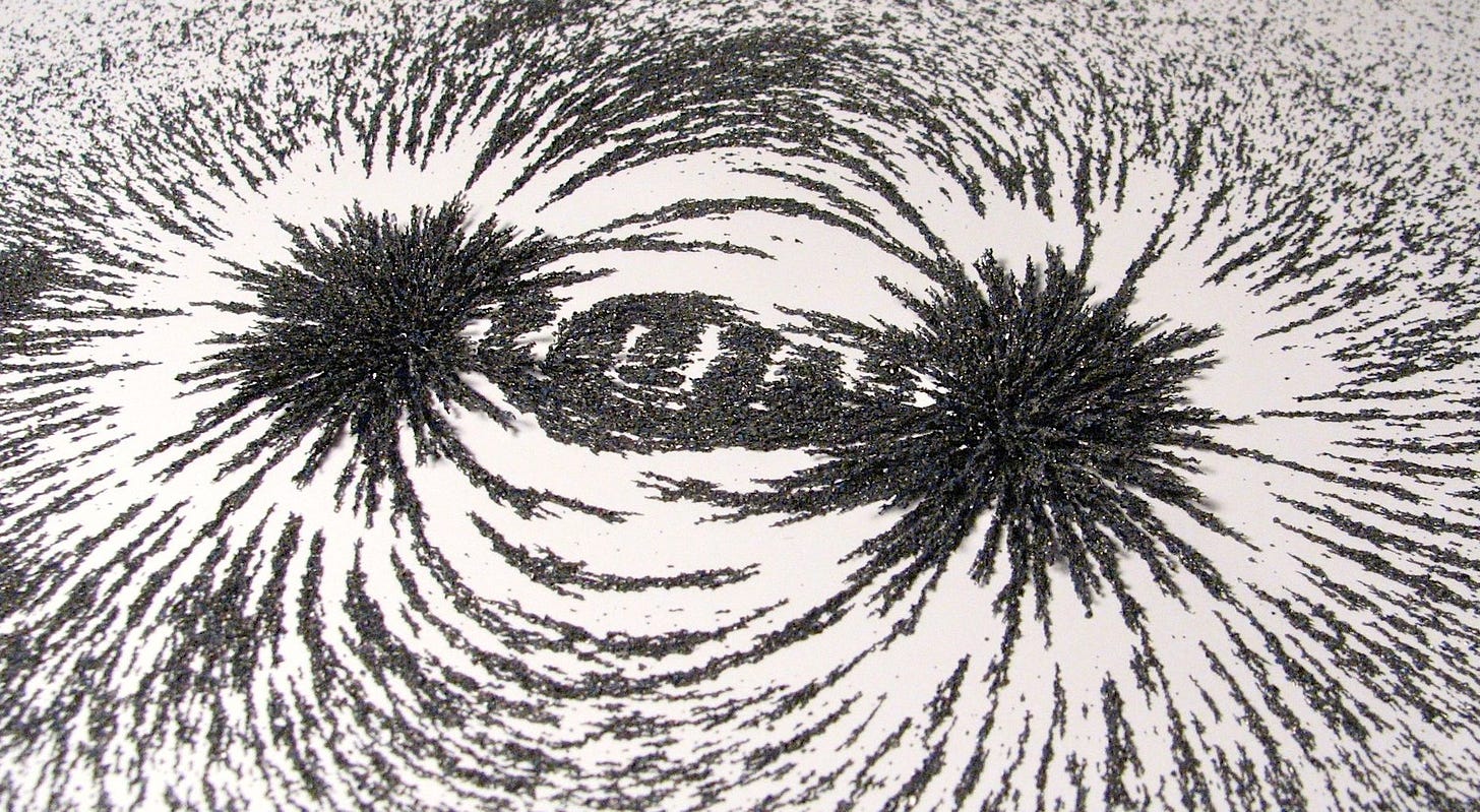 Iron filings arranged within a magnetic field
