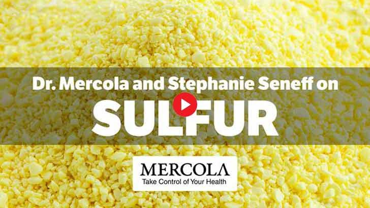 Dr. Mercola and Stephanie Seneff on Sulfur
