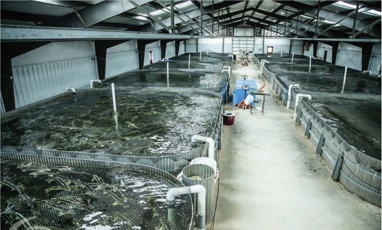 Indoor fish farm