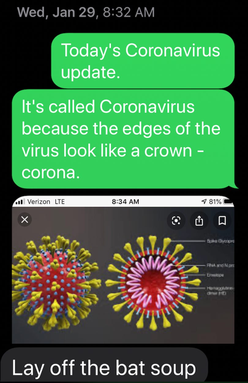 Image explaining why COVID is called a corona virus.