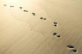 Footsteps Sand Images | Free Photos, PNG Stickers, Wallpapers & Backgrounds  - rawpixel