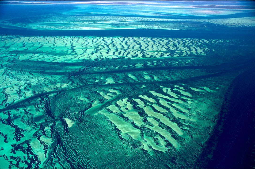 UNESCO Centre du patrimoine mondial - Document - Seagrass meadows in the Shark  Bay, Western Australia marine World Heritage site (Australia)
