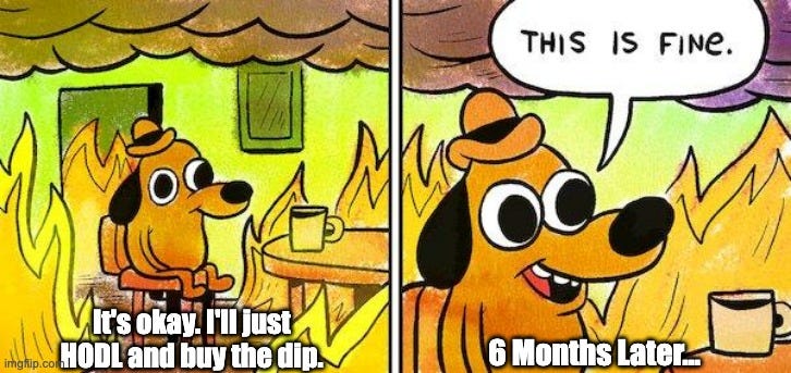  It's okay. I'll just HODL and buy the dip. 6 Months Later... | image tagged in dog house on fire | made w/ Imgflip meme maker