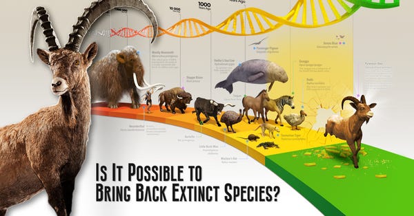 Which extinct animal species can we resurrect?