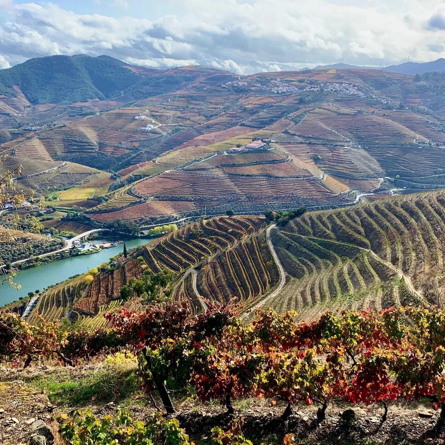 Photo Credit: Quinta de La Rosa