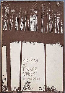 Book cover showing two photographs of trees blended together in the darkroom - the upper image is in North Carolina and the bottom image are yellow pines in Florida and upside down and was meant to be interpreted by the viewer . . . floating forest, etc.