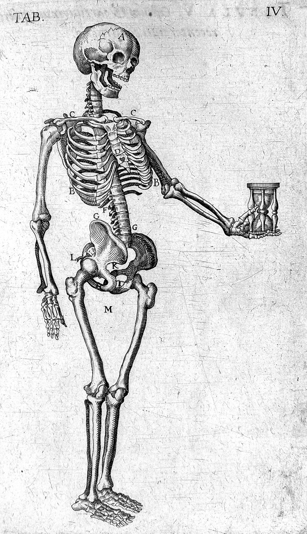 File:Skeleton with hourglass, 17th century Wellcome L0013206.jpg