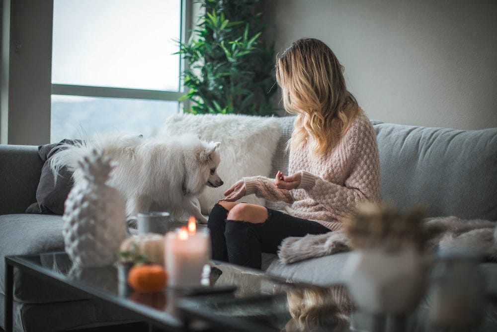Photo of a woman sitting on a couch behind a pineapple and a lit candle giving a dog a treat.