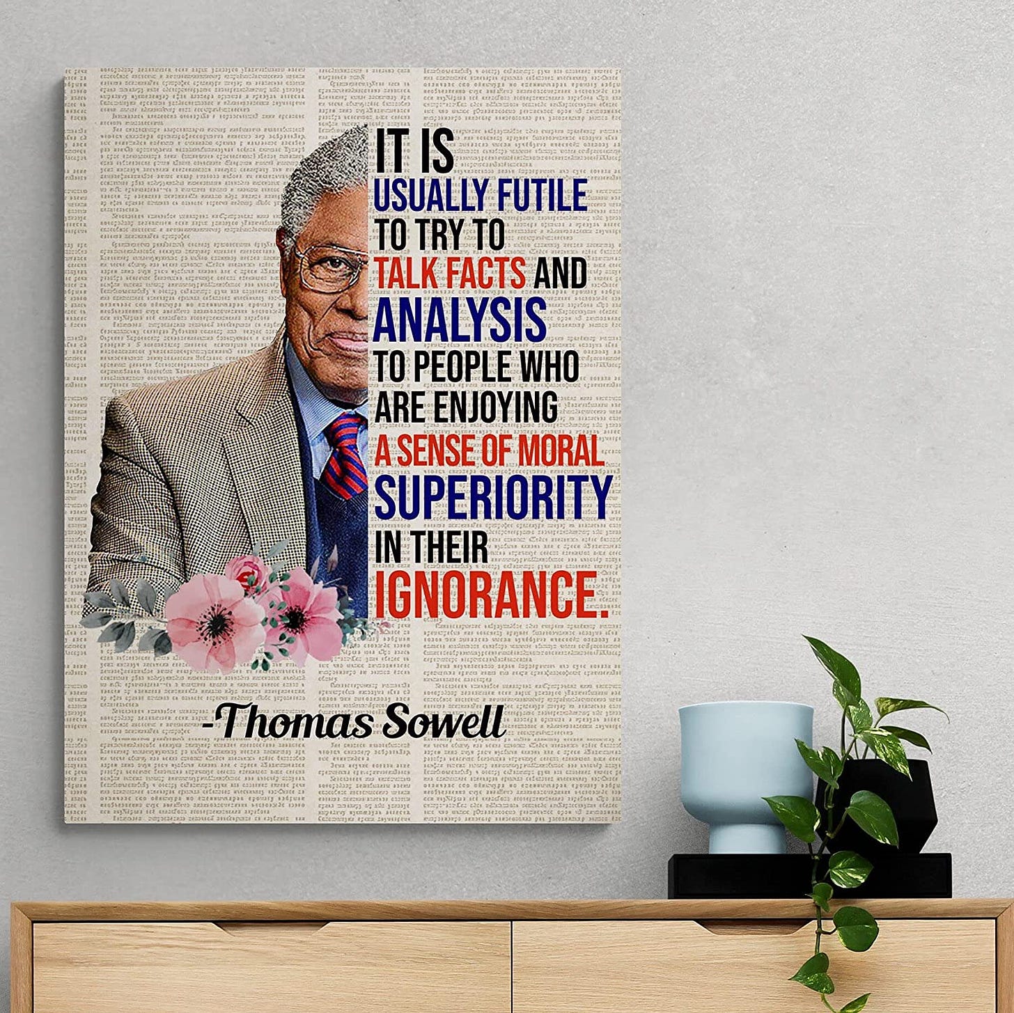 Amazon.com: Thomas Sowell It is Usually Futile to Try to Talk Facts  Socialism Framed Canvas Prints - Unframed Poster, 24&quot; x 36&quot;, Unframed Poster/White:  Posters &amp; Prints