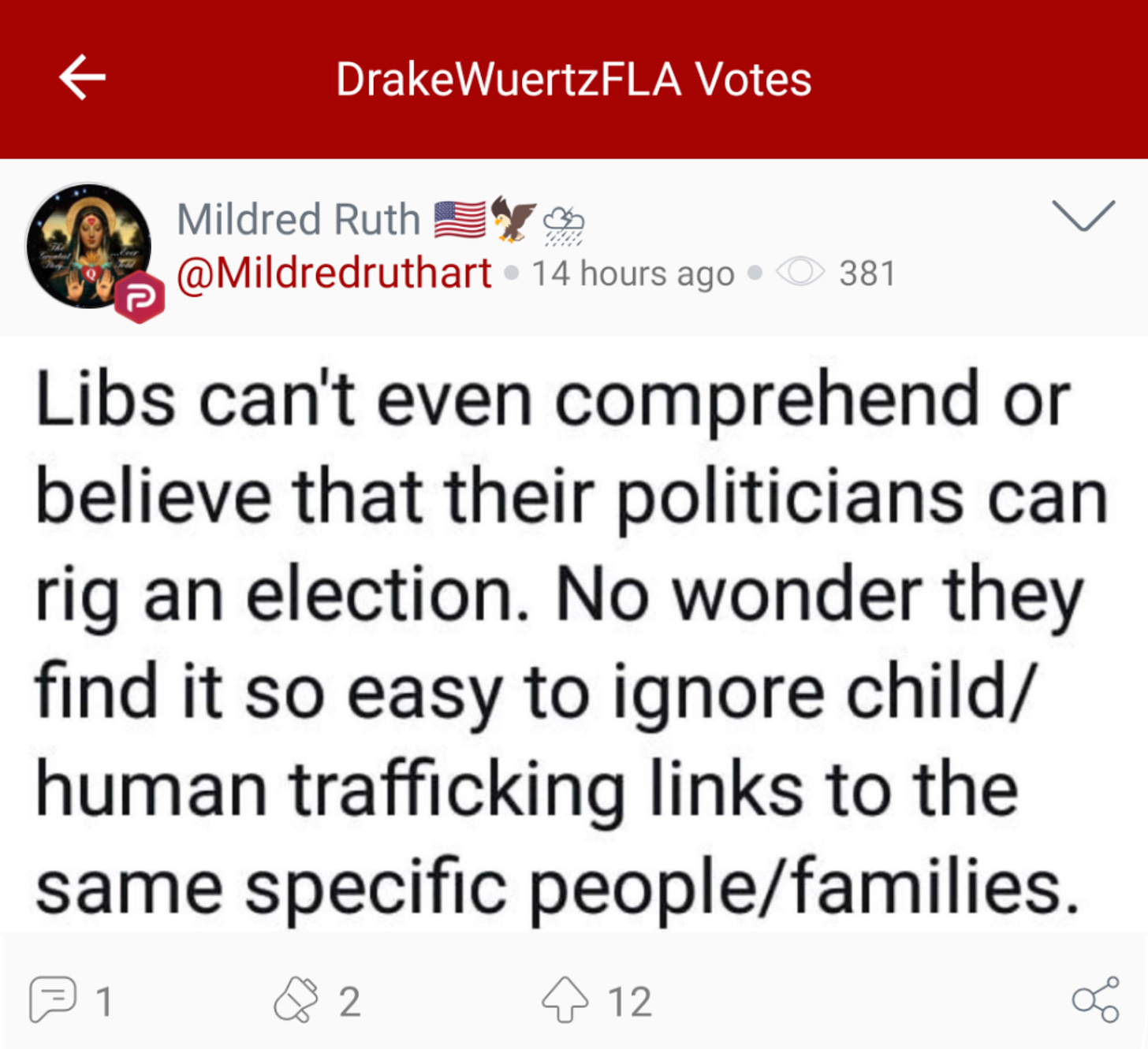 @DrakeWuertzFLA “votes” a Parler post attempting to connect baseless election fraud conspiracy theories with baseless “liberal pedophile” conspiracy theories. (Image: Parler screenshot.)