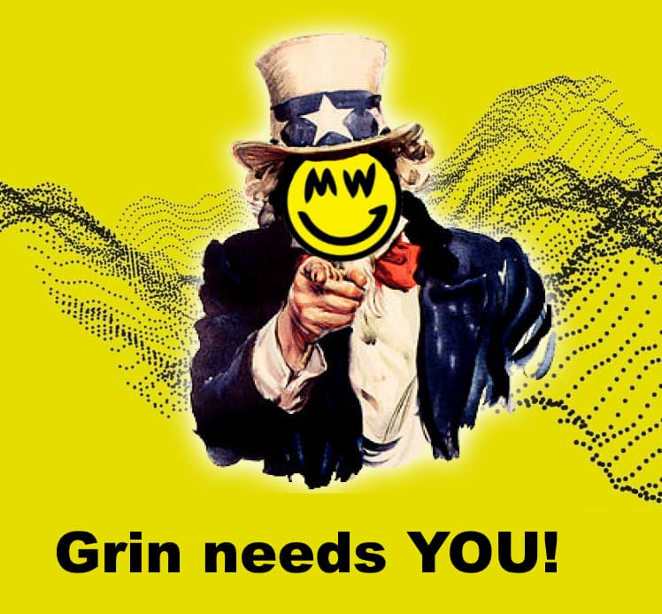 https://forum.grin.mw/t/community-council-election-for-the-6th-cc-member/9698