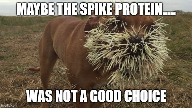  MAYBE THE SPIKE PROTEIN..... WAS NOT A GOOD CHOICE | image tagged in bad day | made w/ Imgflip meme maker