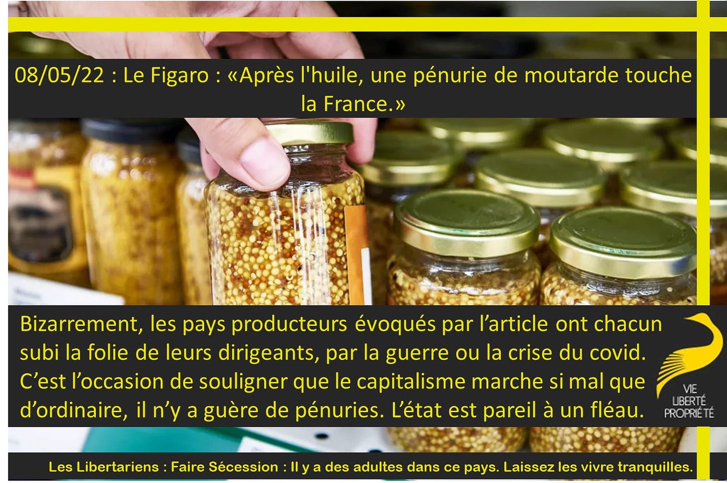 Peut être une image de aliment et texte qui dit ’08/05/22 Le Figaro: «Après l'huile, une pénurie de moutarde touche la France.» Bizarrement, les pays producteurs évoqués par l'article ont chacun subi la folie de leurs dirigeants, par la guerre ou la crise du covid. C'est l'occasion de souligner que le capitalisme marche si mal que d'ordinaire, n'y iln'y a guère de pénuries. L'état est pareil à un fléau. Les Libertariens Faire Sécession LIBERTE PROPRIÉTÉ des adultes dans ce pays. Laissez les vivre tranquilles.’