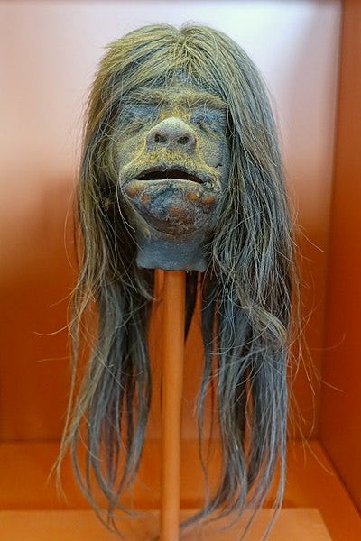 File:Tsantsa counterfeit made from monkey head, Jivaro - Redpath Museum - McGill University - Montreal, Canada - DSC08214.jpg