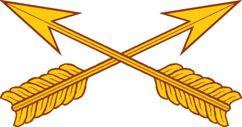 USA_-_Special_Forces_Branch_Insignia
