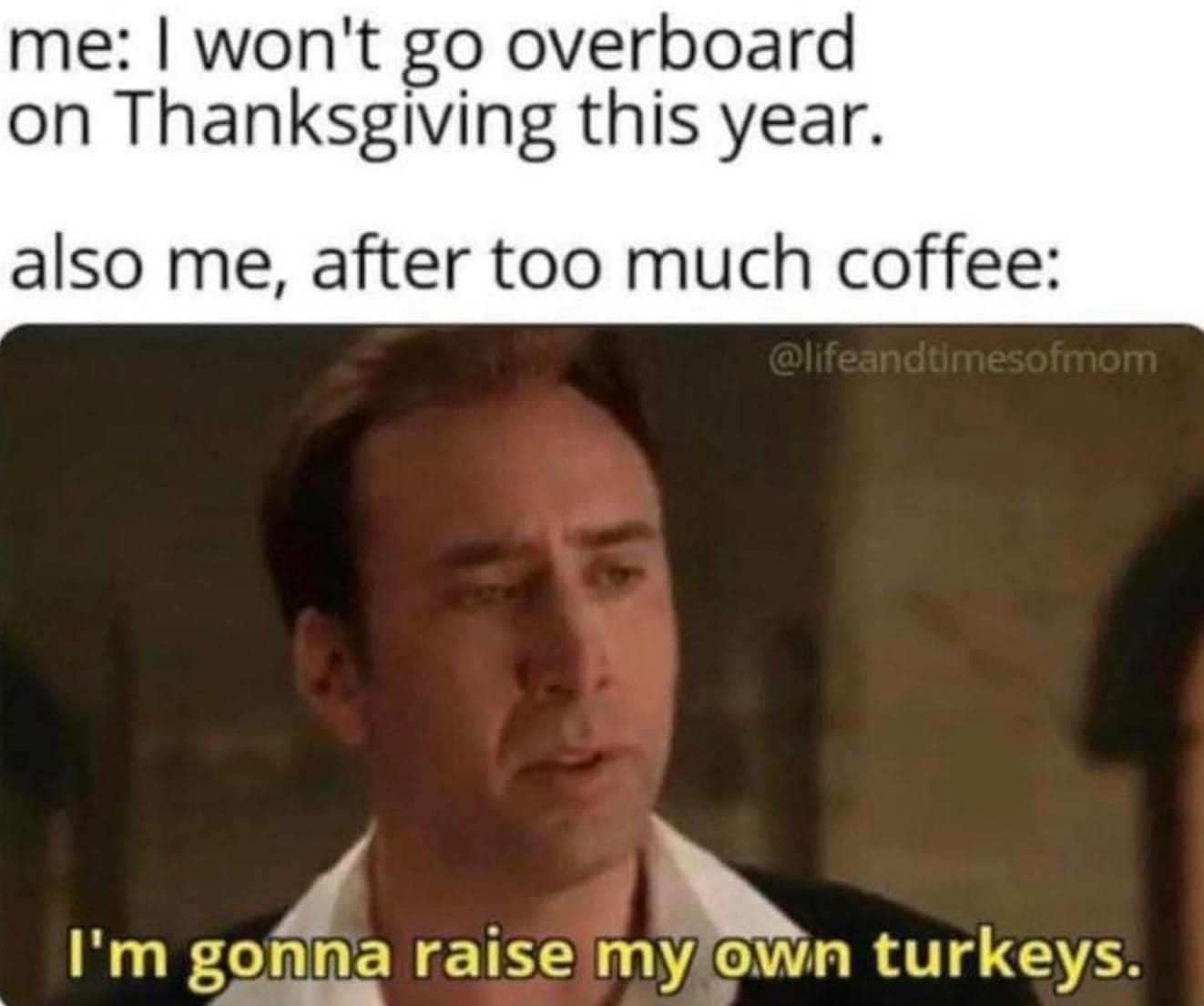 May be an image of 1 person and text that says 'me: I won't go overboard on Thanksgiving this year. also me, after too much coffee: I'm gonna raise my own turkeys.'