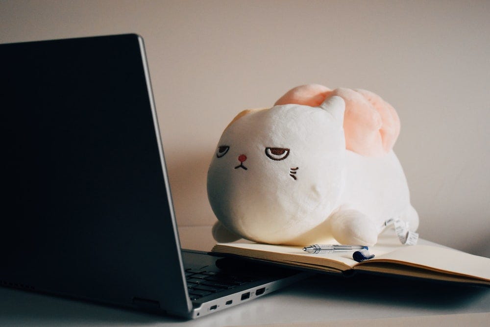 white rabbit figurine beside macbook pro