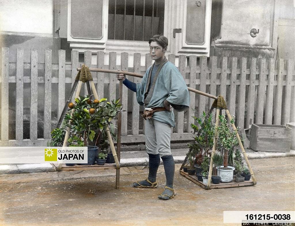 161215-0038 - Japanese Gardener with Plants