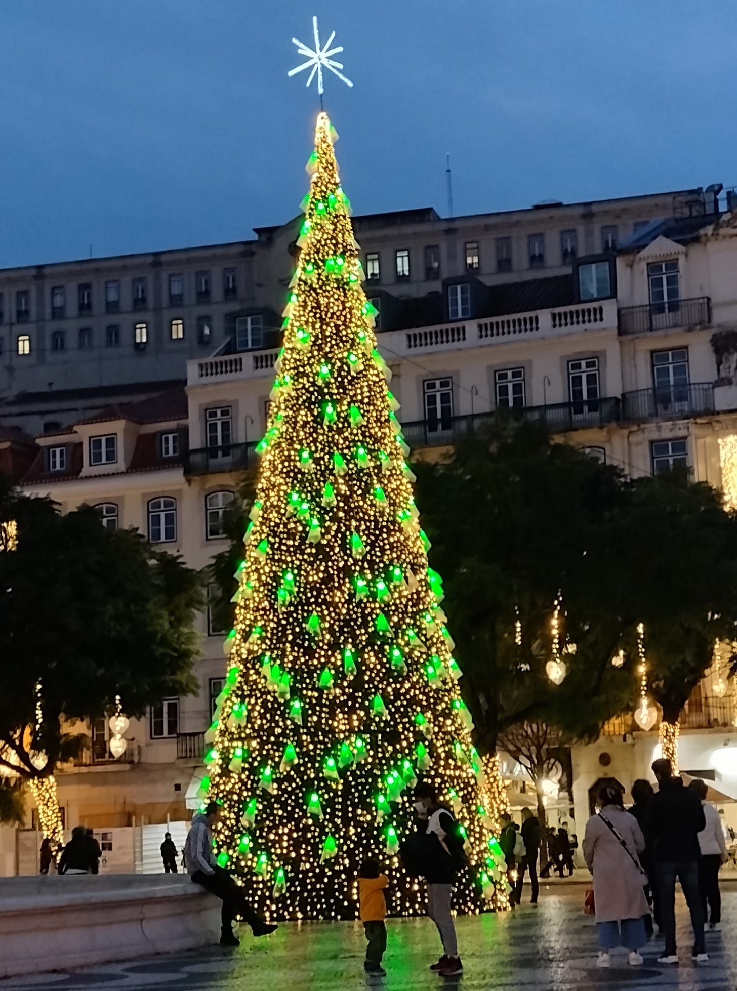 Christmas tree with lights.
