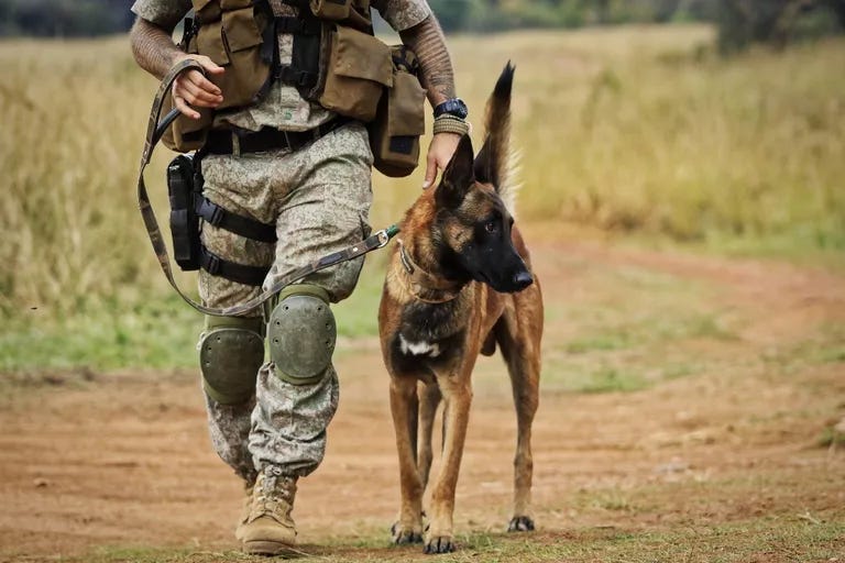anti-poaching dog and handler