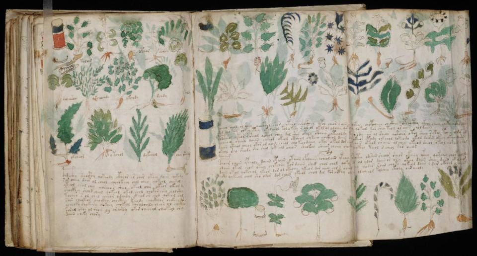  The Voynich Manuscript is considered by scholars to be most interesting document ever found