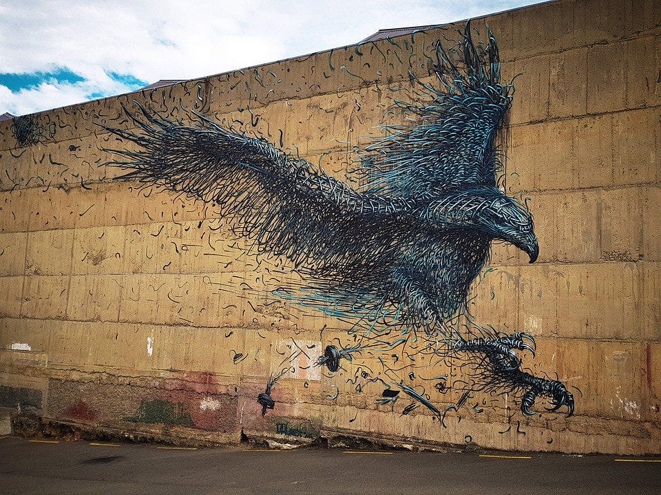 Dunedin, New Zealand, Street Art, Otago, Tag, Graffiti