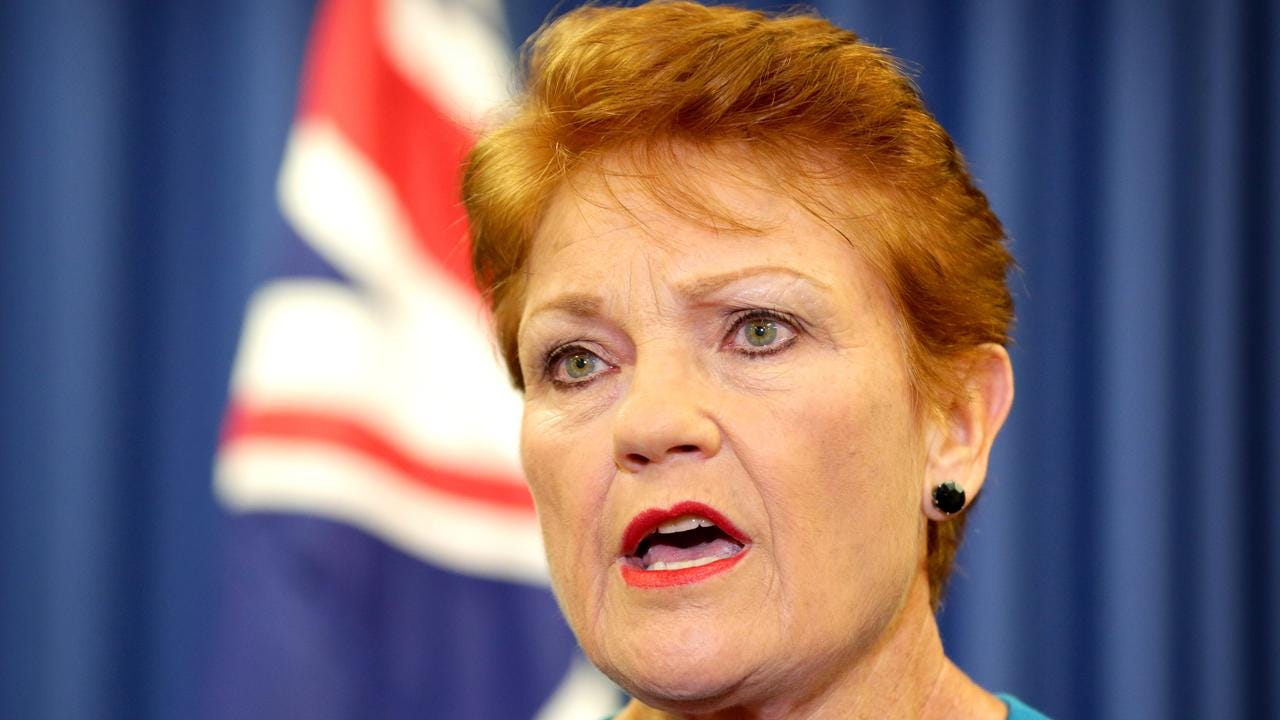 Hanson battles for her crossbench seat after swing against One Nation