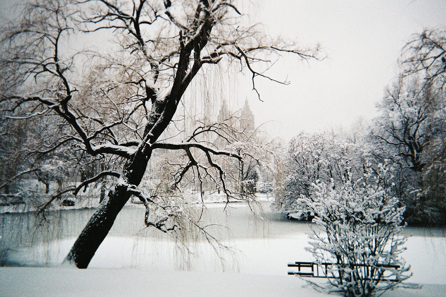 File:Central Park under snow, NYC, February 2010.jpg - Wikimedia Commons