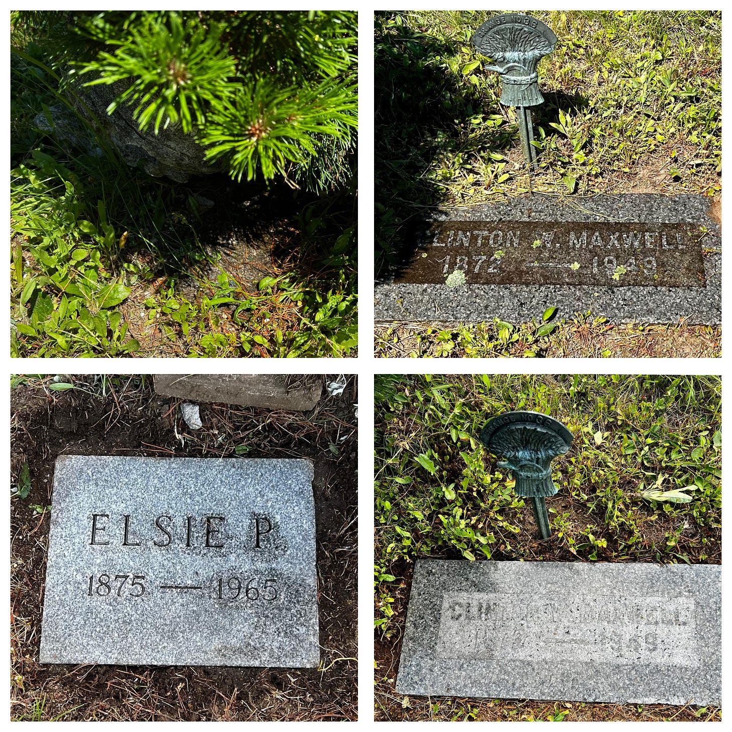 Maxwell family gravestones