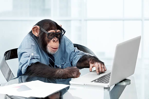 Monkey Computer Stock Photos, Pictures &amp; Royalty-Free Images - iStock