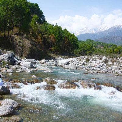Top 10 Things to do in Palampur - Himachal Pradesh