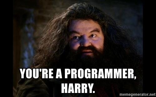 You&#39;re a programmer, Harry. - Yer A Wizard Harry Hagrid | Meme Generator