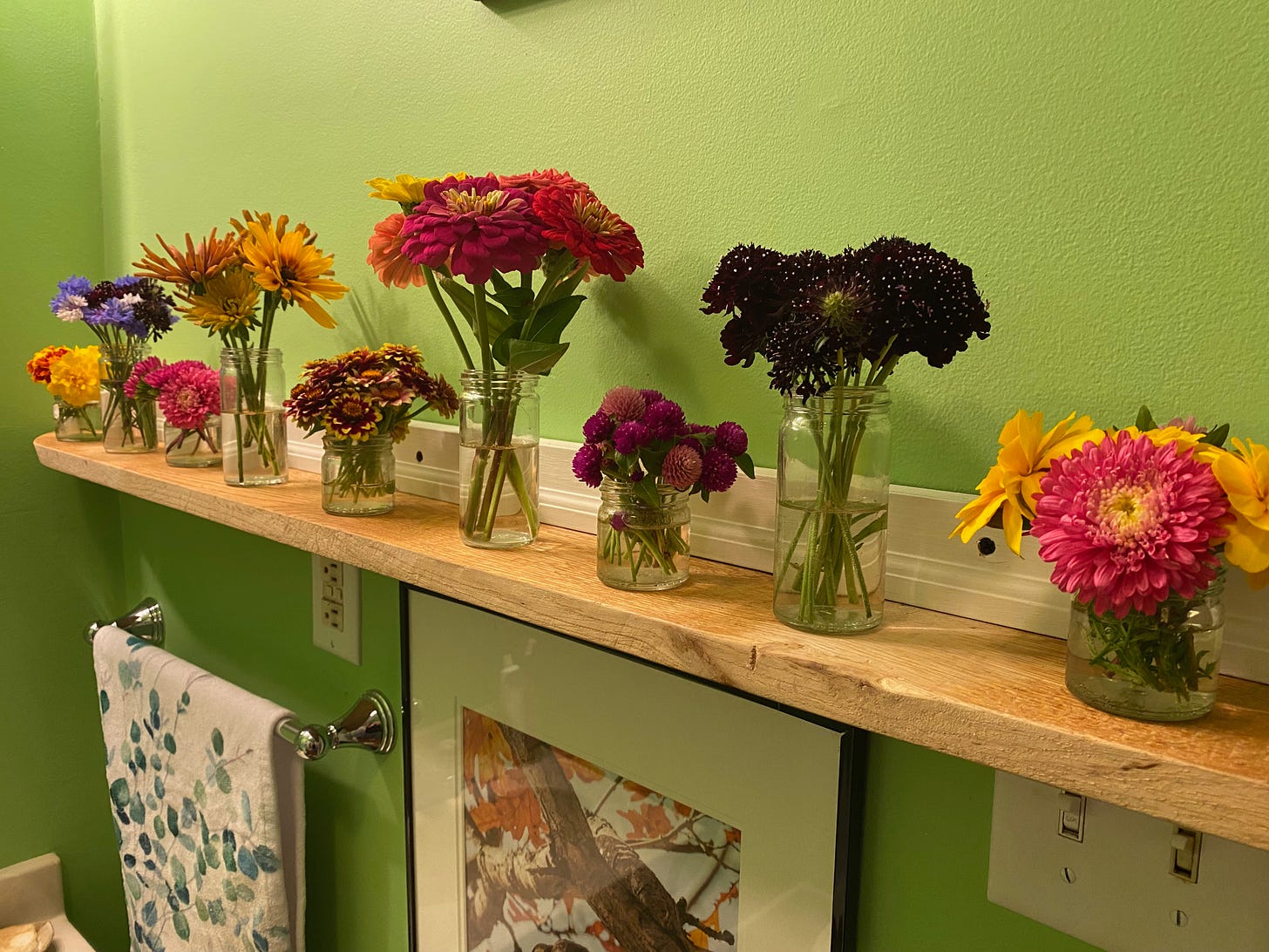 Close-up of a narrow wooden shelf on a bright green bathroom wall. The shelf holds nine small jars of flowers, small tall and some short. There are zinnias, asters, black-eyed Susans, gomphrena, and pincushion flowers. Each vase holds one kind of flower. A hand towel and the top of a photo are visible below the shelf. 