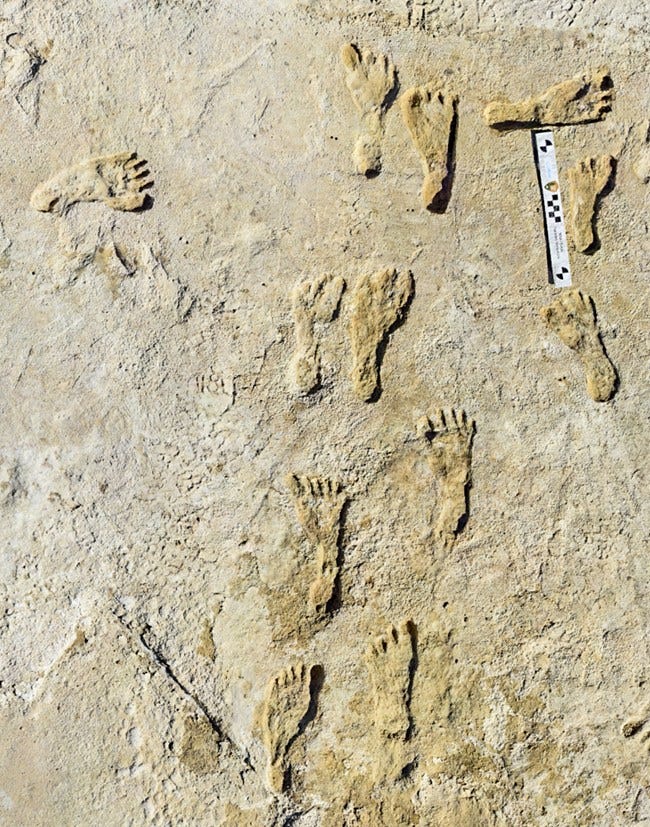 Fossilized Footprints - White Sands National Park (U.S. National Park  Service)