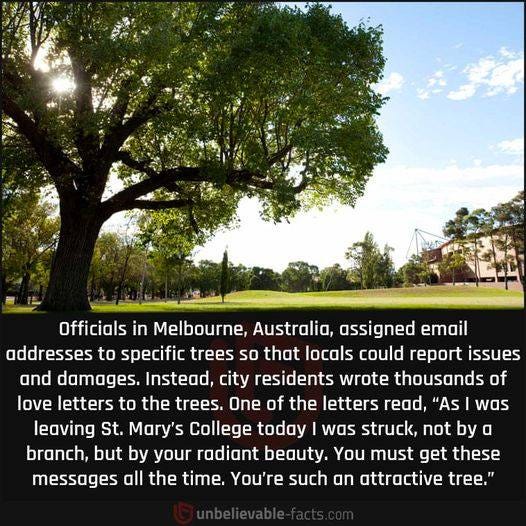 May be an image of tree, grass and text that says "Officials in Melbourne, Australia, assigned email oddresses to specific trees So that locals could report issues and damages. Instead, city residents wrote thousands of love letters to the trees. One of the letters read, "As was leaving St. Mary's College today was struck, not by a branch, but by your radiant beauty. You must get these messages all the time. You're such an attractive tree.""