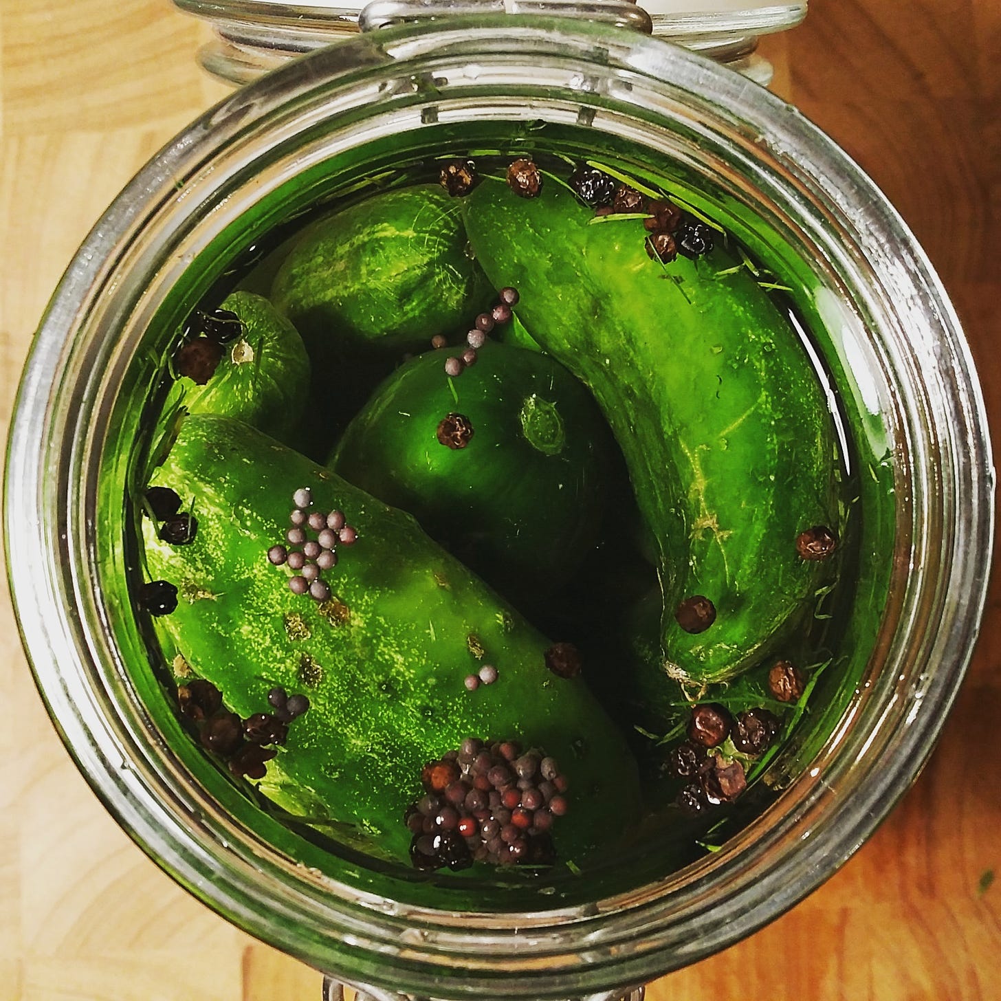 small cucumbers in brine at the beginning of fermentation