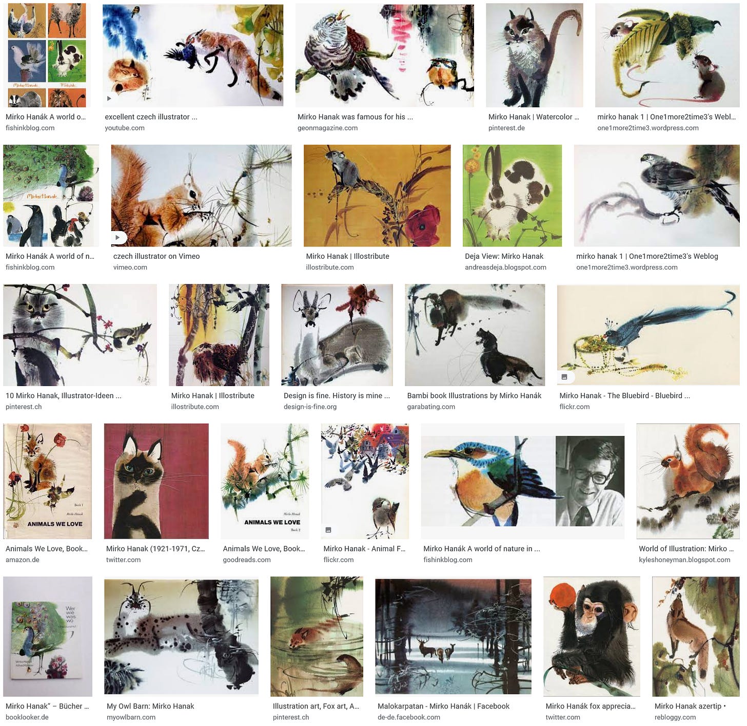 Screenshot einer Google Bildersuche zum Künstler Mirko Hanák. In den Suchergebnissen tauchen vor allem Aquarellzeichnungen verschiedener Tiere auf.