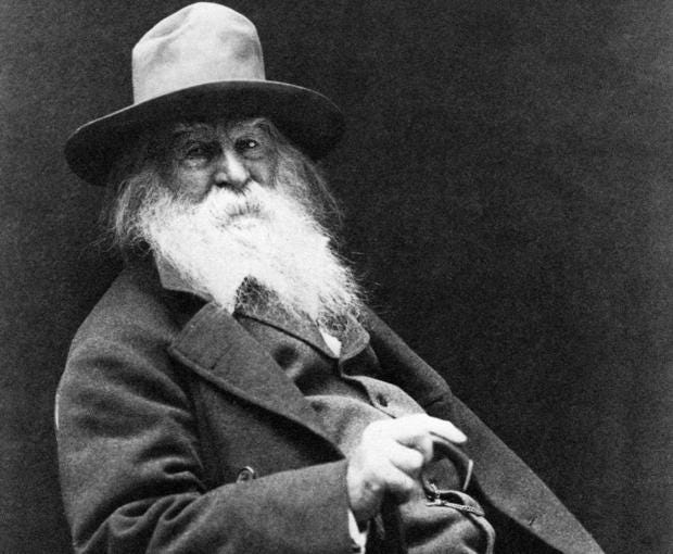 Walt Whitman in his broad-rimmed hat and wild white beard, with bright eyes glinting even in black and white in his frumpy overall demeanour.
