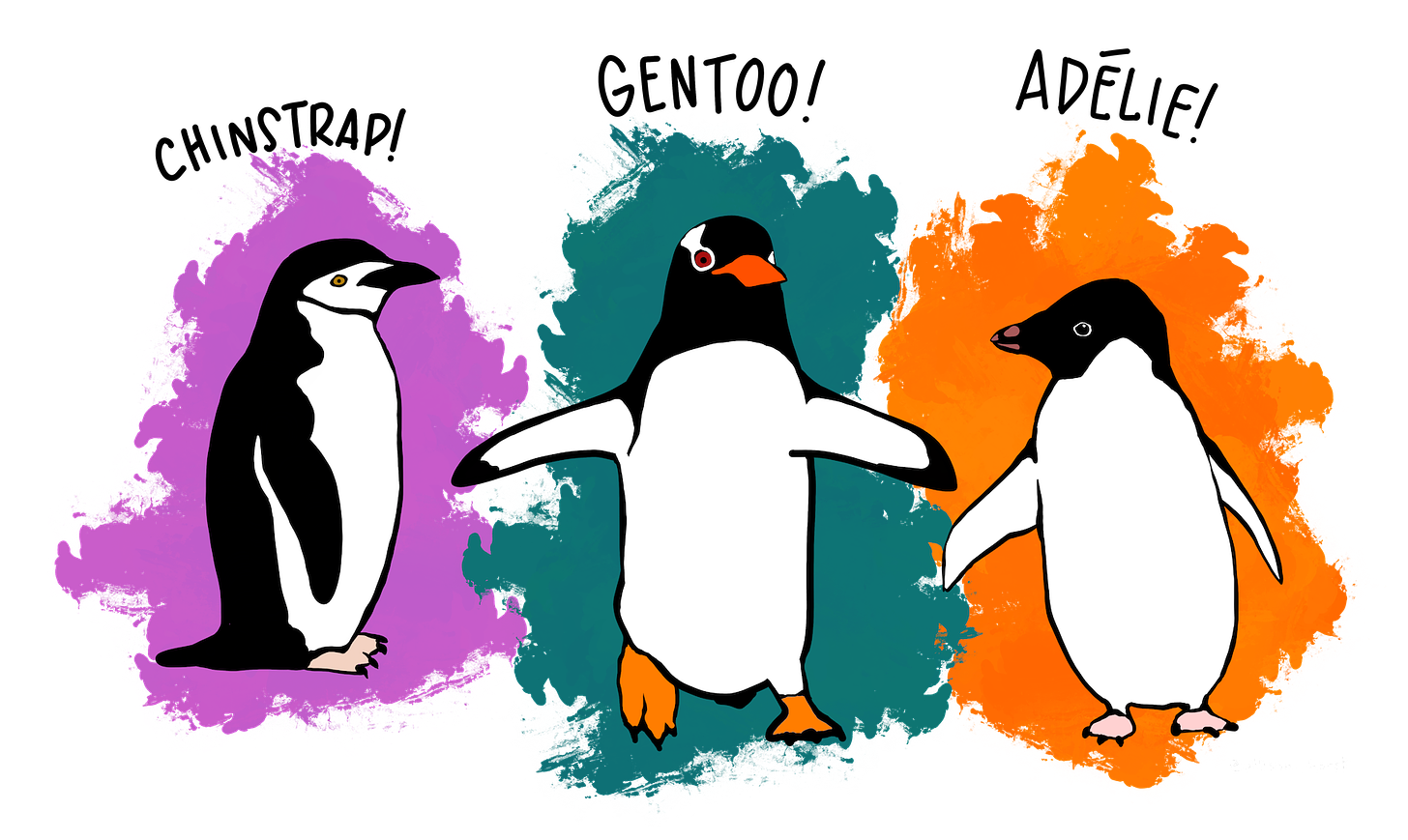 Illustration of Chinstrap, Gentoo, and Adélie penguins