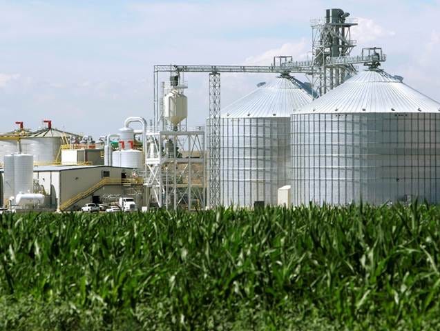 EXCLUSIVE White House delays biofuel mandates due to political concerns  -sources | Reuters